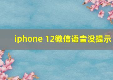 iphone 12微信语音没提示